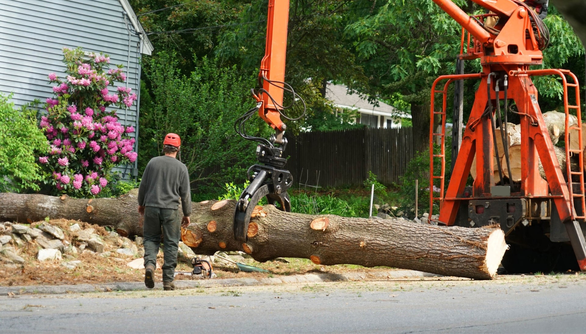 Local partner for Tree removal services in Fremont