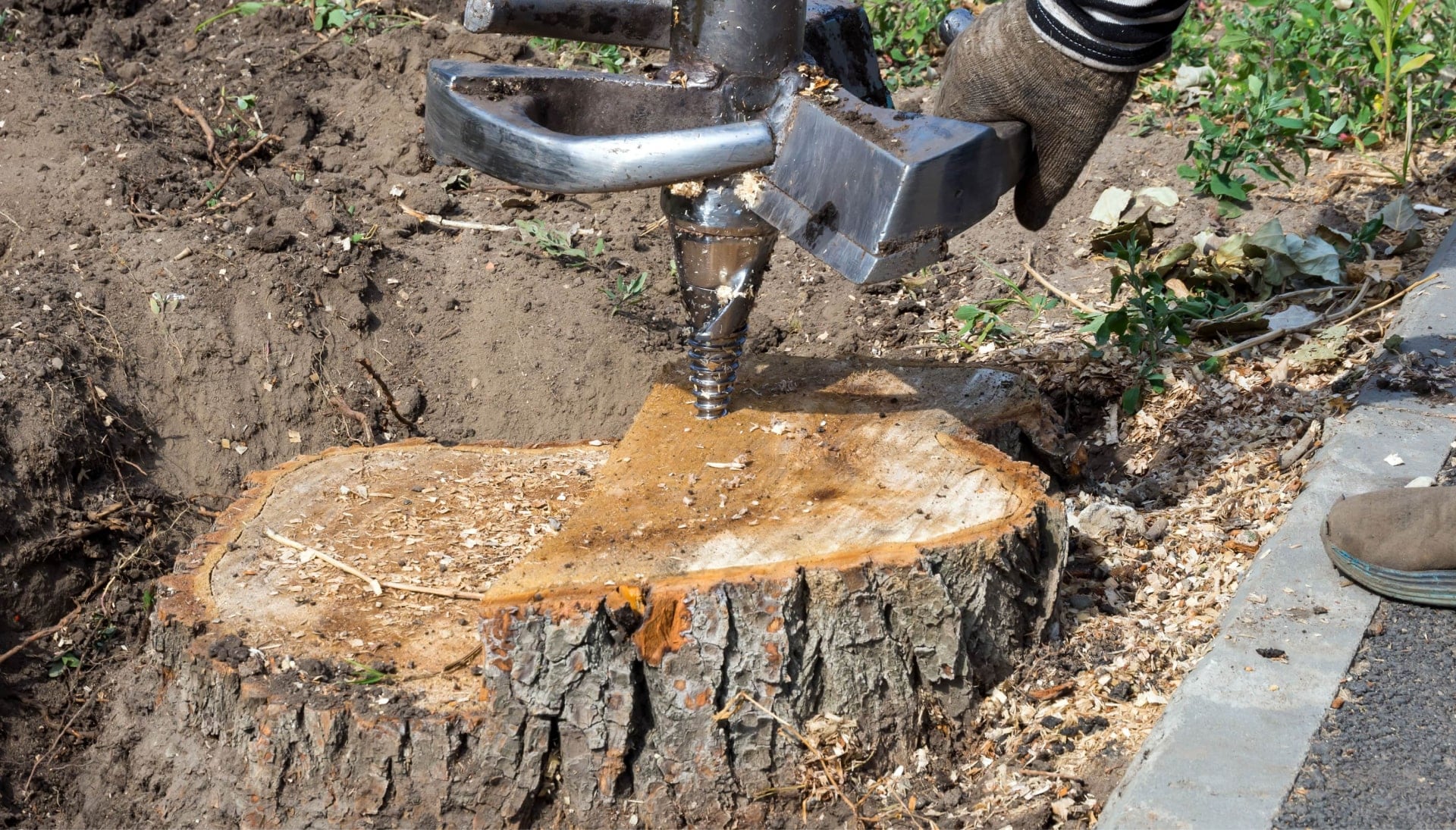 Fremont Tree stump removal